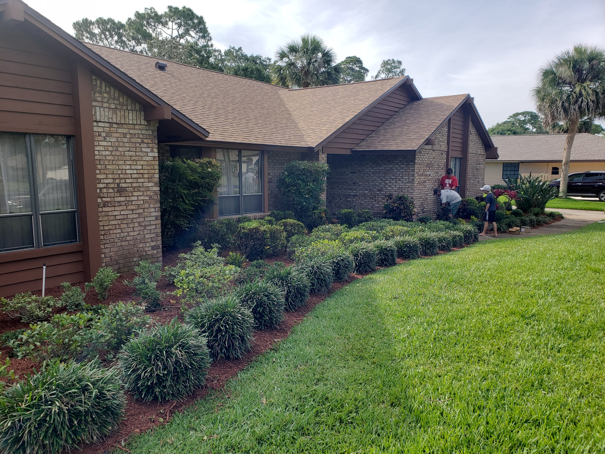 Complete Property Cleanup