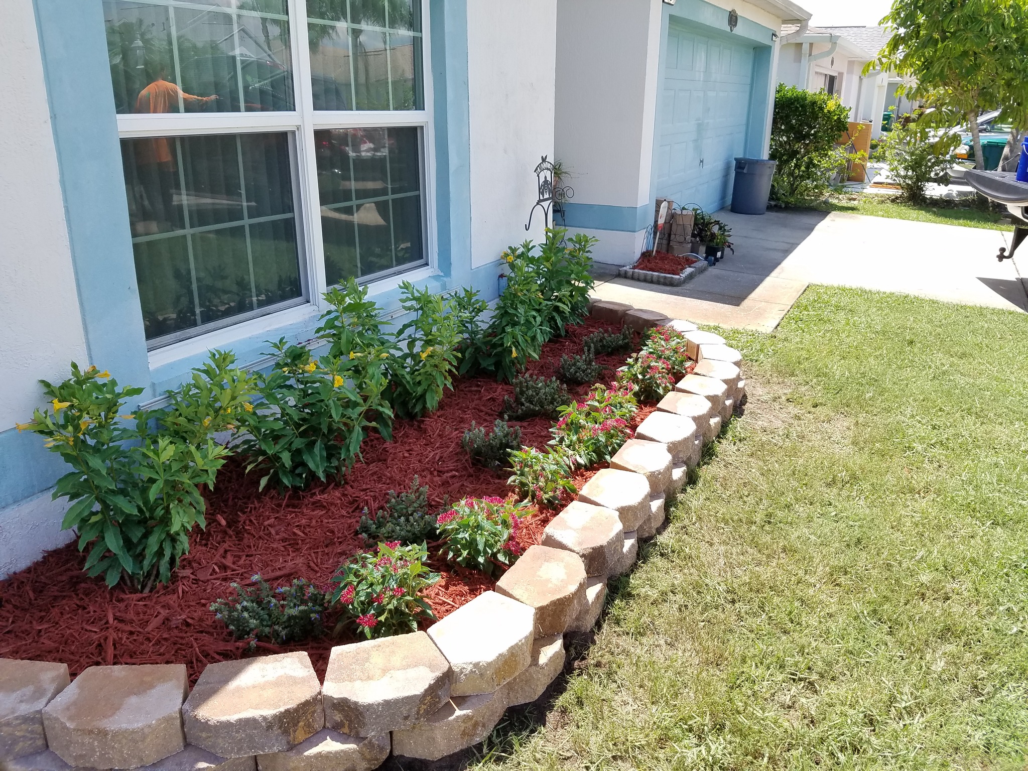 Landscape Restoration