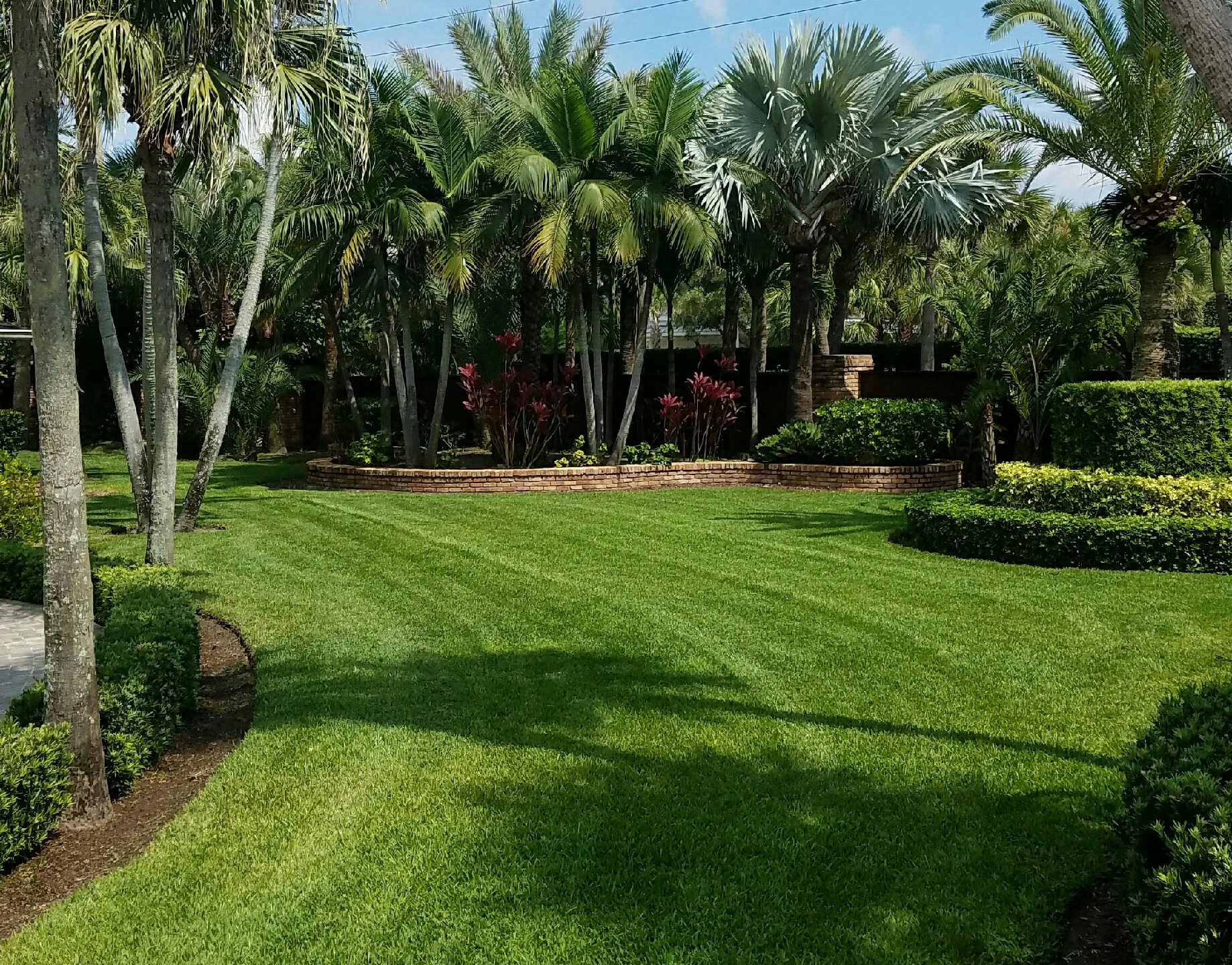Professional Lawn Care Results by Byrd's Lawn and Landscape