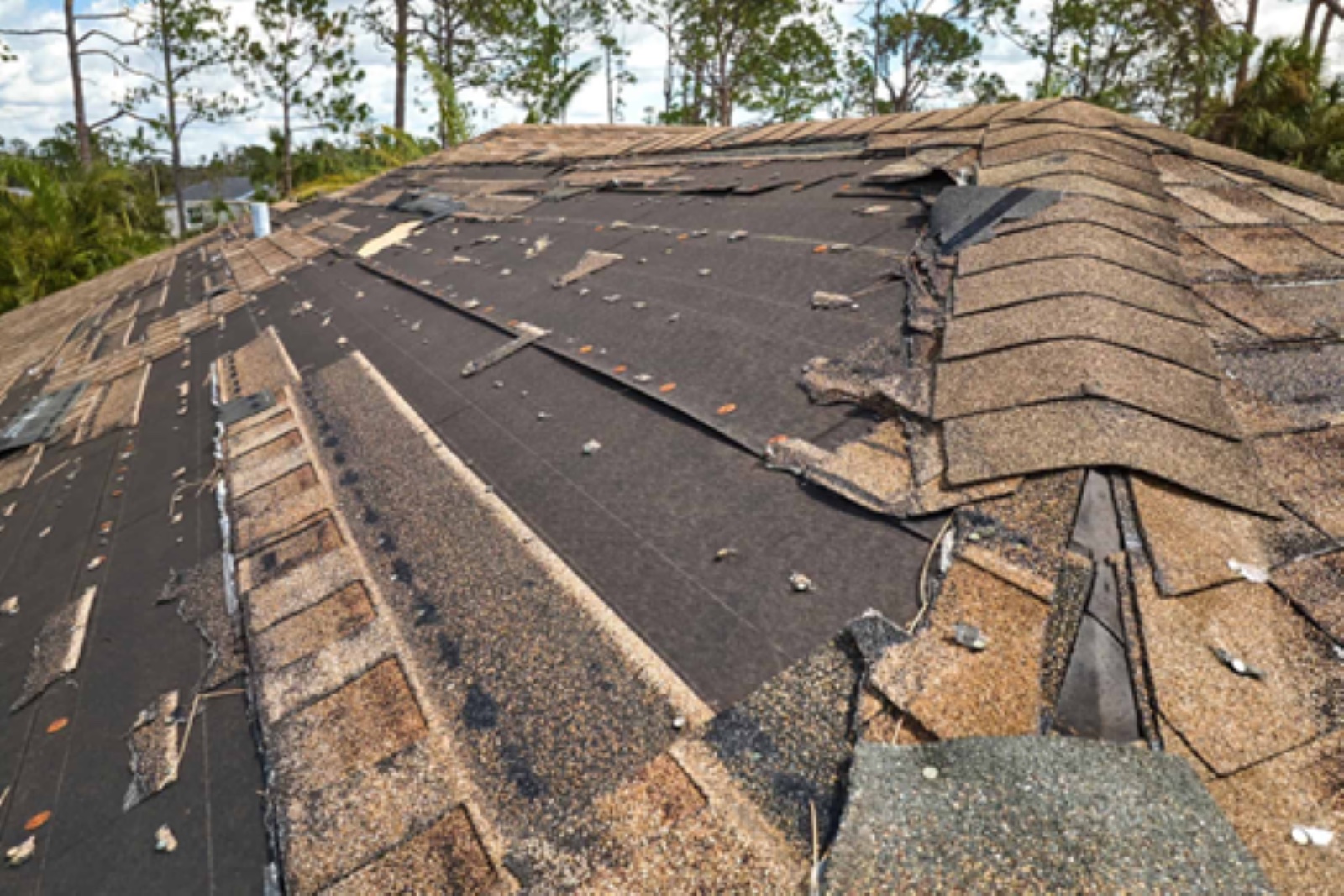 Roof Repair Services